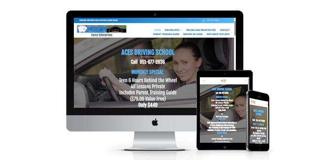 Driving school website design example