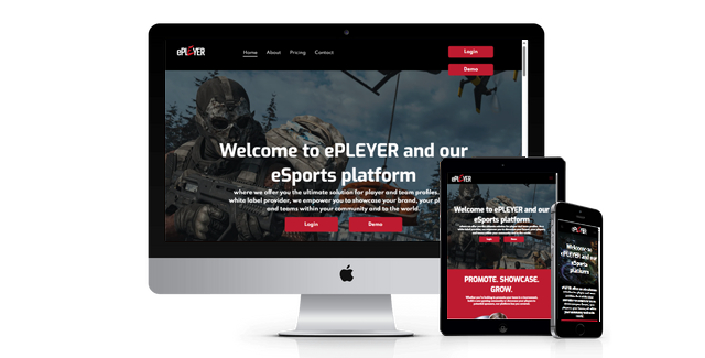 Epleyer website design screenshot