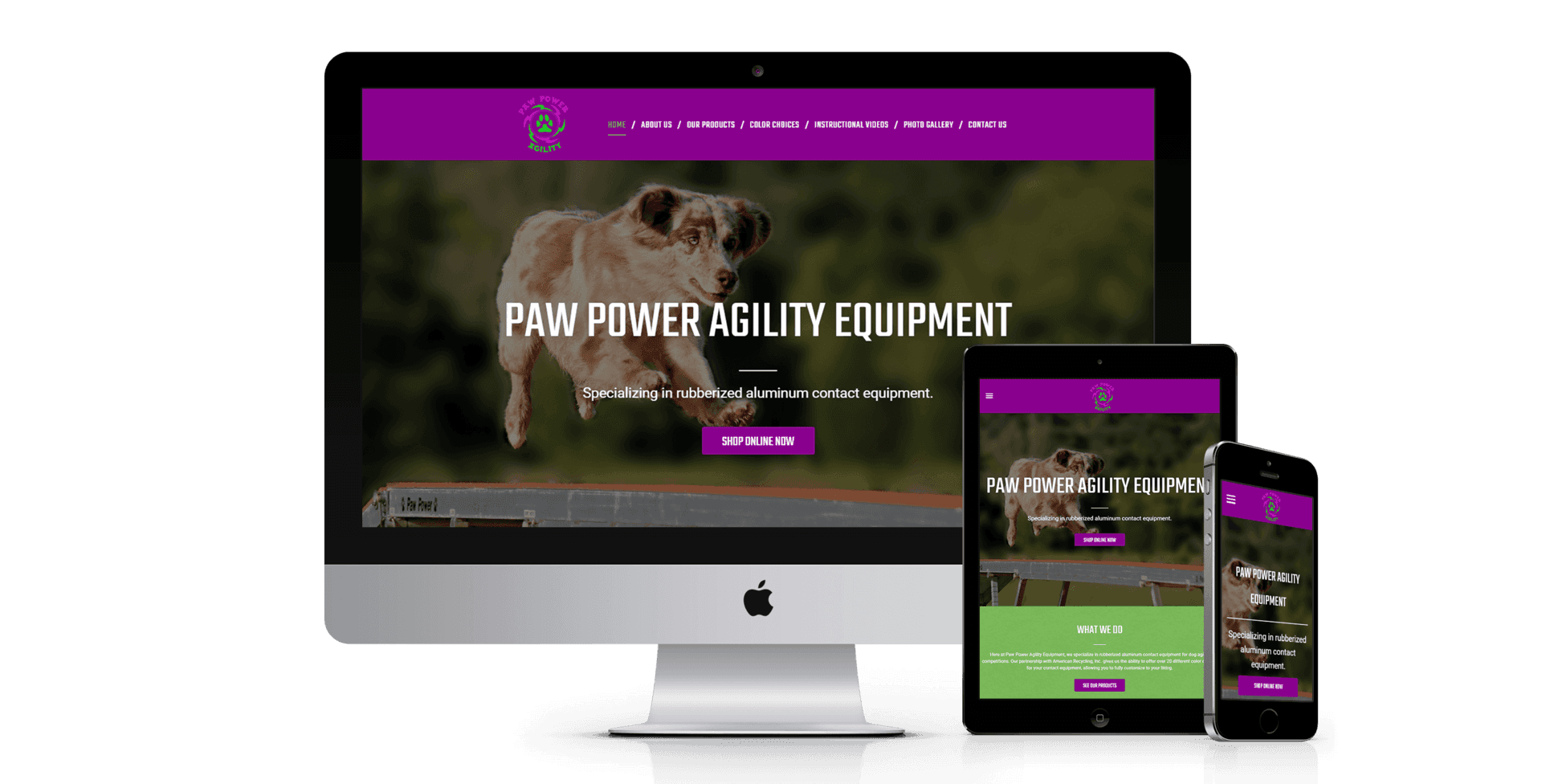 Paw Power Agility Equipment website design screenshot