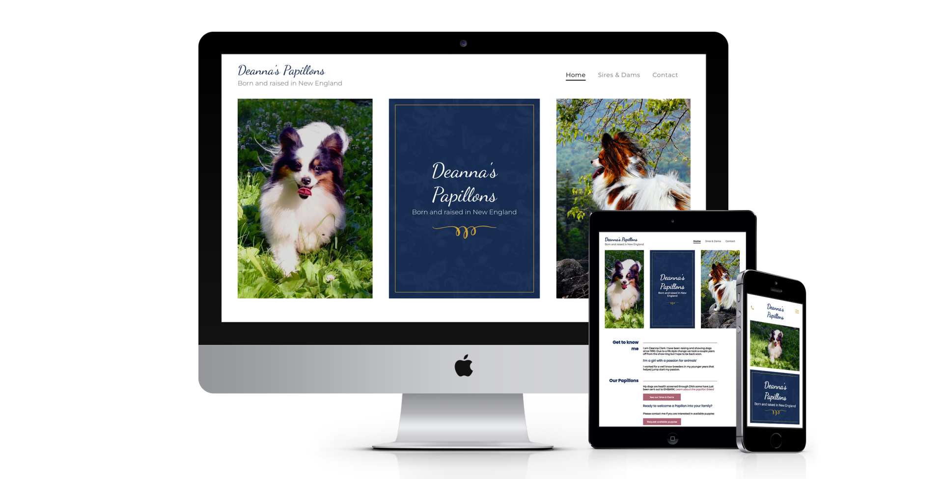 Deannas Papillons website design screenshot