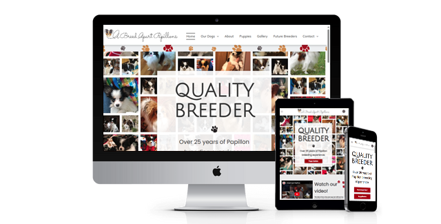 A Breed Apart Papillons website design screenshot