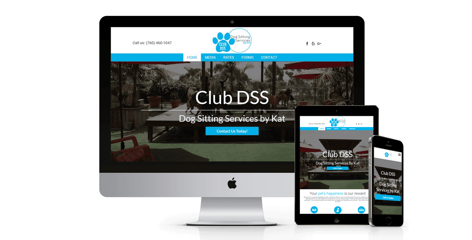 DSS By Kat website design screenshot
